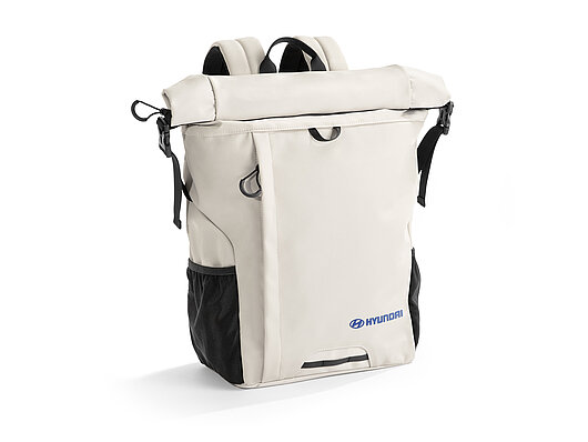 Аксесуари для автомобілів Hyundai у м. Кривий Ріг | Аеліта-КР - фото 7