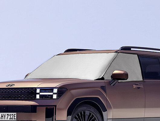 Аксесуари для автомобілів Hyundai у м. Кривий Ріг | Аеліта-КР - фото 13