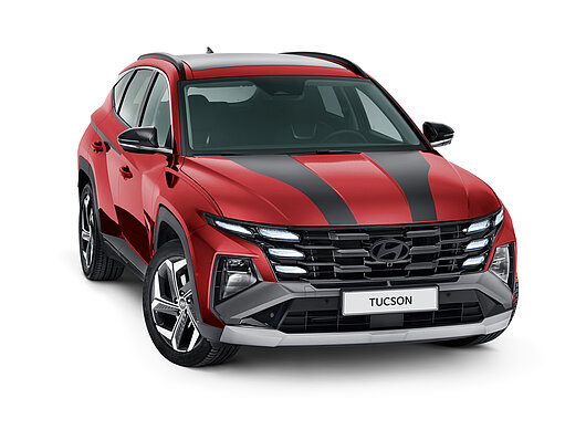 Аксесуари для автомобілів Hyundai у м. Кривий Ріг | Аеліта-КР - фото 19