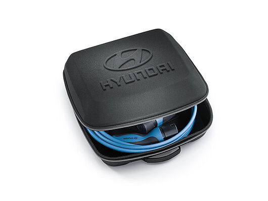 Аксесуари для автомобілів Hyundai у м. Кривий Ріг | Аеліта-КР - фото 12