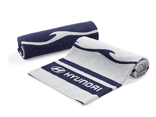 Аксесуари для автомобілів Hyundai у м. Кривий Ріг | Аеліта-КР - фото 7